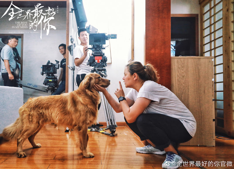 The Best of You in My Mind / The Best of You All Over the World China Web Drama