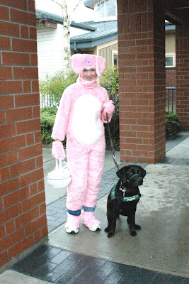 Kara bunny with black Lab puppy