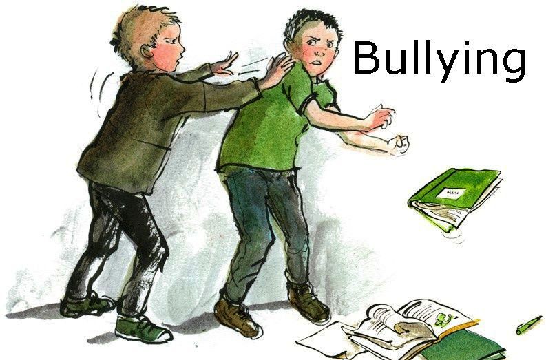 Noticiasdelbolson Bullying En La Escuela Hogar