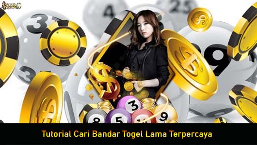 Tutorial Cari Bandar Togel Lama Terpercaya