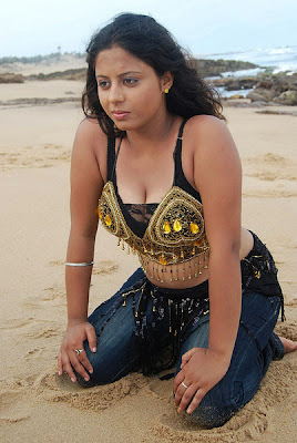 Telugu Actress Sunakshi hot