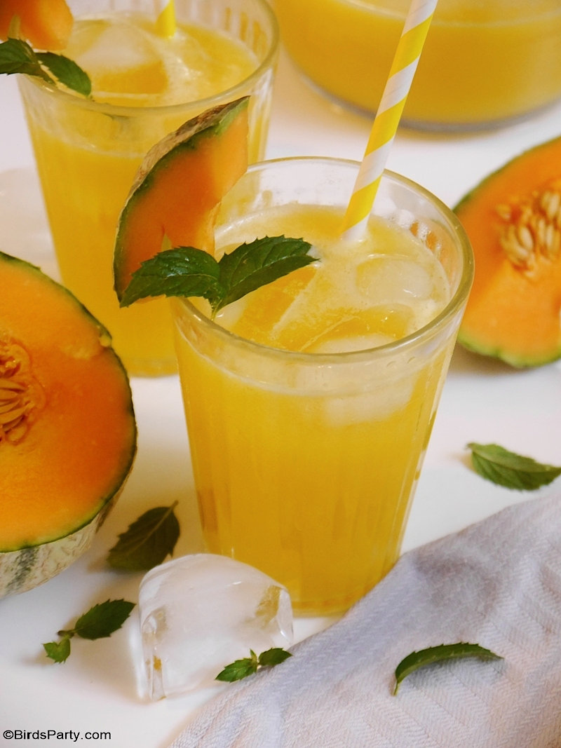 Cantaloupe Melon Lemonade - quick, easy and delicious refreshing drink to serve in summer and make the best of your seasonal fruits! by BirdsParty.com @BirdsParty #drinks #beverages #recipe #melon #cantaloupemelon #summerdrink #cocktail #lemonade #melonlemonade #melonade