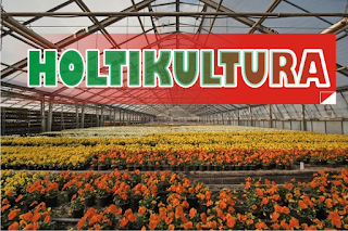 HOLTIKULTURA