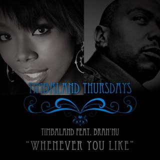 Timbaland - Whenever You Like Lyrics | Letras | Lirik | Tekst | Text | Testo | Paroles - Source: musicjuzz.blogspot.com