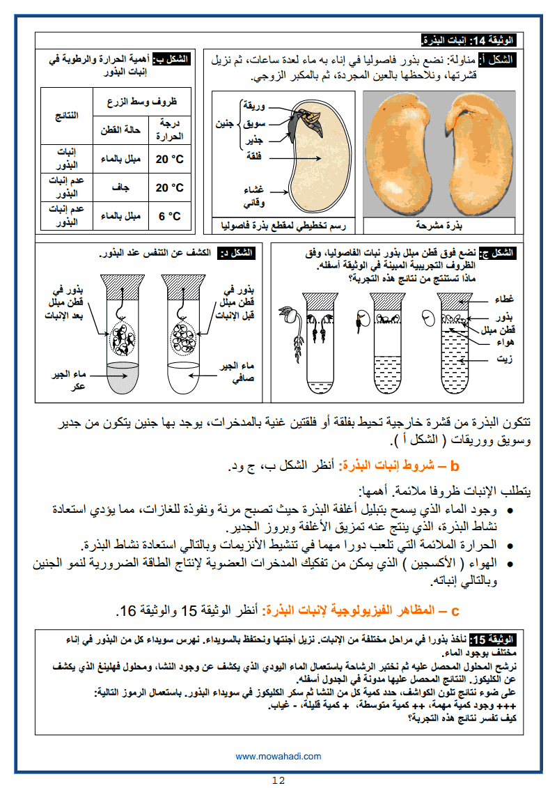 12 التوالد الجنسي عند النباتات الزهرية