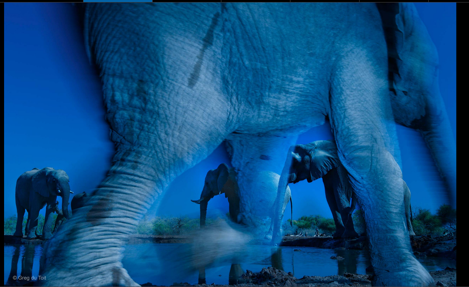 2013 BBC photographer of the year by Grag du Toit