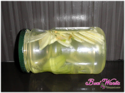 Experiment Dengan Air Detox Buah / Fruit Infused Water. Cara Buat Air Detox Buah-Buahan. Cara Buat Fruits Infused Water. Air Detox Infused Dengan Kiwi Dan Epal HIjau