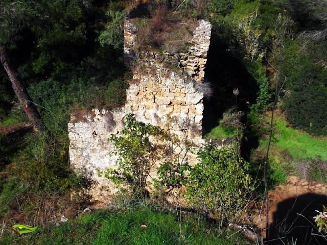 Ruta de Los Puentes (Sierra Morena Cordobesa)