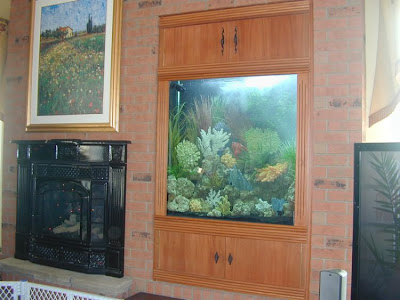 fish aquarium design