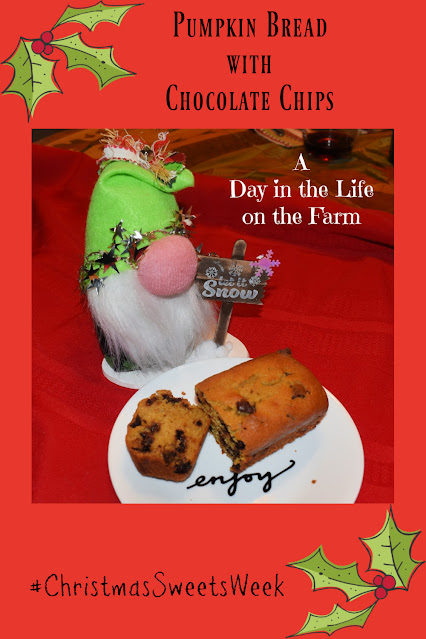 Pumpkin Bread with Chocolate Chips pin