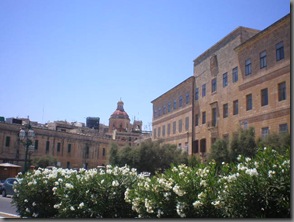 P7230038