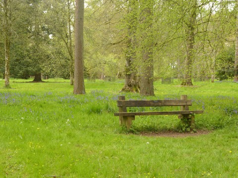 WestonBirt Arboretum