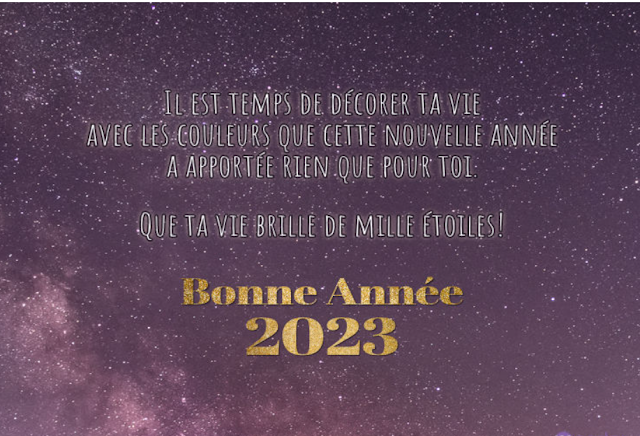 image voeux 2023 humour