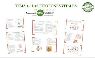 https://prezi.com/u4m_oprzxbu5/tema-1-las-funciones-vitales/?utm_campaign=share&utm_medium=copy