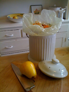 Counter-top compost bucket