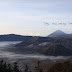 EXPEDISI CAMP I GUNUNG BROMO