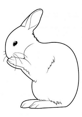 Gambar Sketsa Kelinci Berdiri Hitam Putih Mudah Diwarnai atau Mewarnai untuk Anak TK atau SD_Funni standing rabbit coloring pages