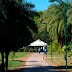 Dia da Árvore e aniversário da Escola do Parque serão celebrados com atividades educativas