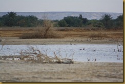IMG_8890