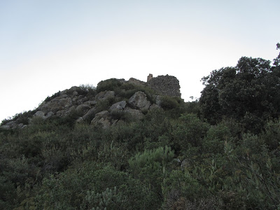 TOT TRAVESSANT LA SERRA DEL MONTMELL (De Mas d'en Bosc al Coll d'Arca), Castell del Montmell