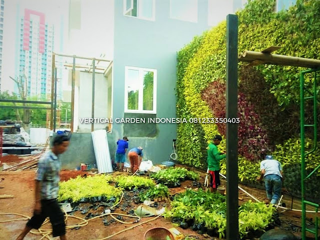 VERTICAL GARDEN INDONESIA SPESIALIS JASA PEMBUATAN VERTICAL GARDEN DI BANTEN DAN DI SELURUH WILAYAH BANTEN DENGAN TENAGA YANG PROFESIONAL DAN DAPAT DI PERCAYA YANG SELALU MENGUTAMAKAN SEBUAH MUTU DAN KUALITAS PEMASANGAN VERTICAL GARDEN/TAMAN DINDING, JASA TUKANG TAMAN VERTICAL BANTEN, JASA VERTICAL GARDEN BANTEN