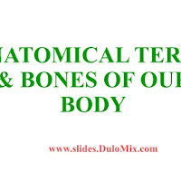 Anatomical terms & bones PDF | PPT