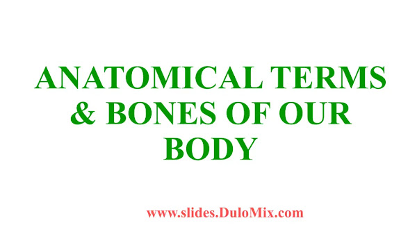 Anatomical terms & bones PDF | PPT