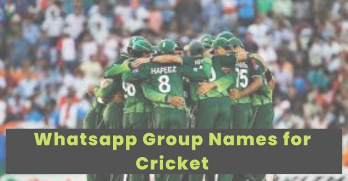 100+ Best WhatsApp Group Name For Cricket ( Urdu-Informer )
