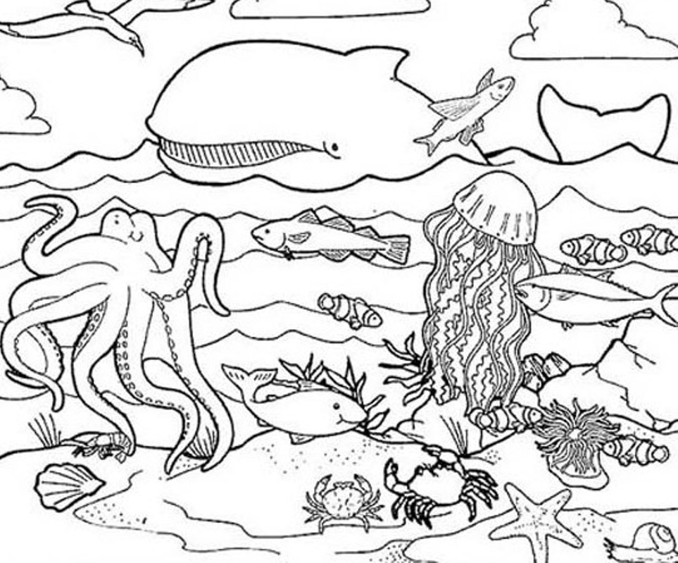 best ocean animals coloring pages for kids best coloring