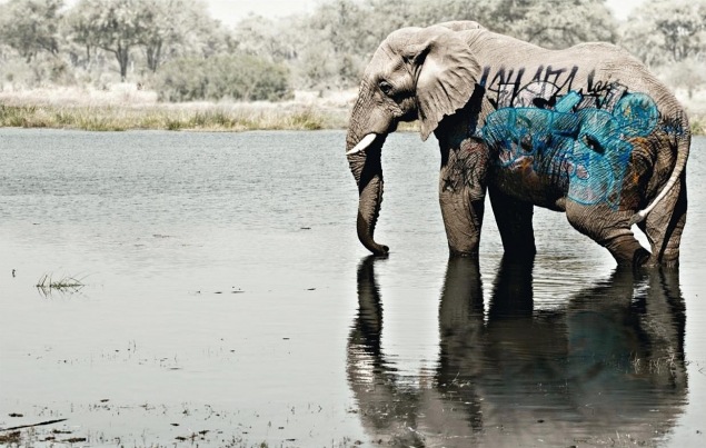WWF-What-will-it-take-before-we-respect-the-planet--1