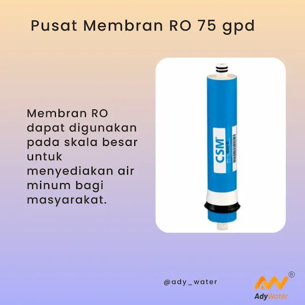 Membran RO 50 GPD, Membran RO 75 GPD, Membran RO 100 GPD, Membran RO 200 GPD, Membran RO 400 GPD, Membran RO 500 GPD, Membran RO 1000 GPD, Membran RO 2000 GPD, Membran RO 4000 GPD, Membran RO 10000 GPD, Supplier Membran RO 50 GPD, Distributor Membran RO 75 GPD, Grosir Membran RO 100 GPD, Toko Membran RO 200 GPD, Pusat Membran RO 400 GPD, Penjual Membran RO 500 GPD, Supplier Membran RO 1000 GPD, Distributor Membran RO 2000 GPD, Grosir Membran RO 4000 GPD, Toko Membran RO 10000 GPD, Pusat Membran RO 50 GPD, Penjual Membran RO 75 GPD, Membran RO 50 GPD CSM, Membran RO 75 GPD Filmtec, Membran RO 100 GPD Vontron, Membran RO 200 GPD CSM, Membran RO 400 GPD Filmtec, Membran RO 500 GPD Vontron, Membran RO 1000 GPD CSM, Membran RO 2000 GPD Filmtec, Membran RO 4000 GPD Vontron, Membran RO 10000 GPD CSM,