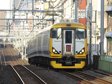 特急あやめ　新宿行き　E257系