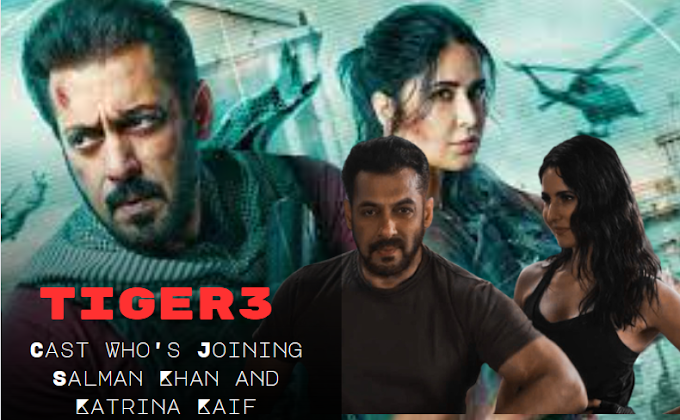 Tiger 3 Cast Who's Joining Salman Khan and Katrina Kaif