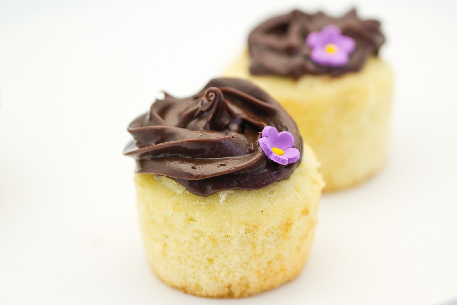 chocolate cupcakes with vanilla icing  av vanilj och choklad sweet little cupcakes with vanilla and chocolate