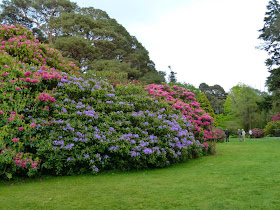 visite parc national de Killarney Irlande