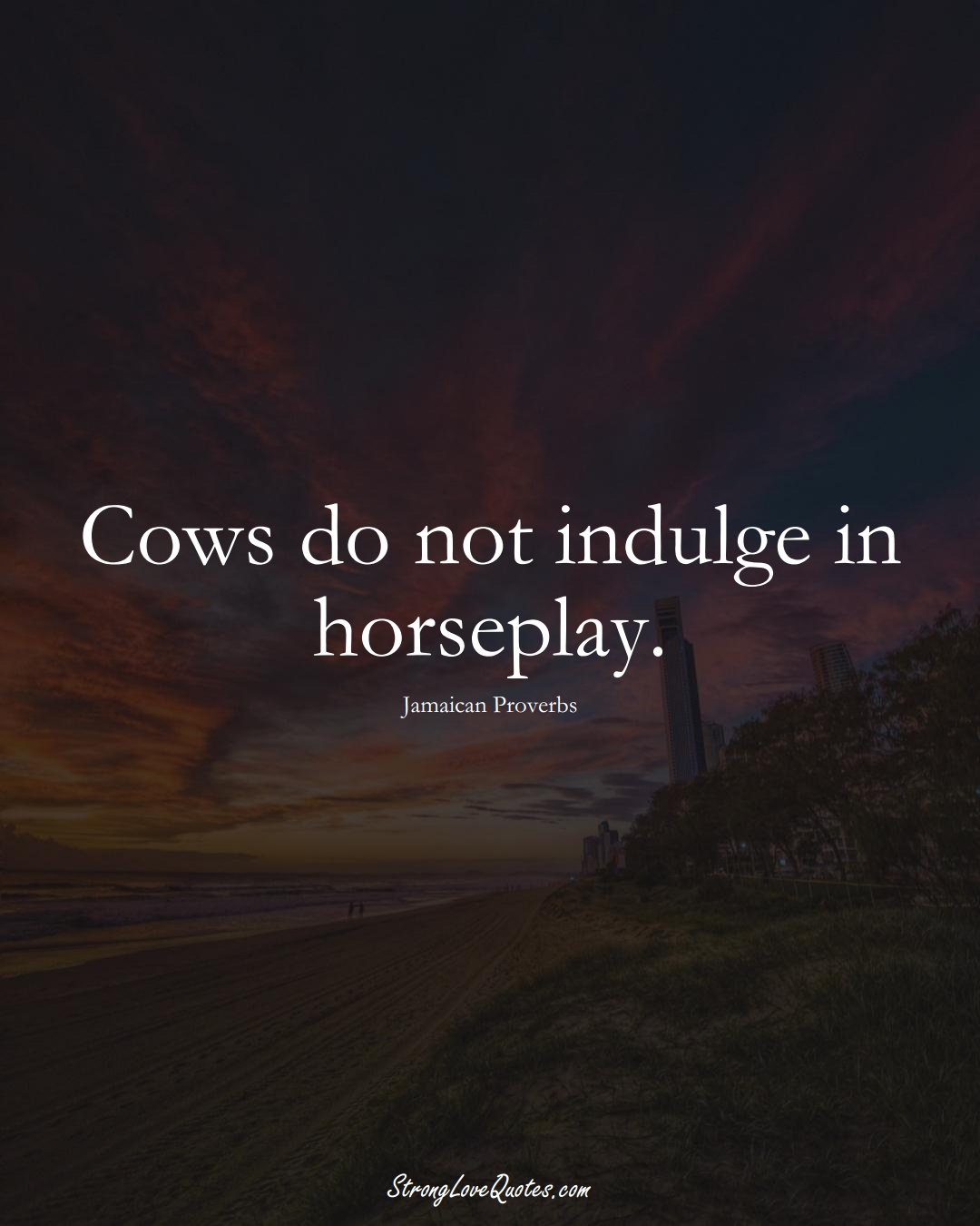 Cows do not indulge in horseplay. (Jamaican Sayings);  #CaribbeanSayings