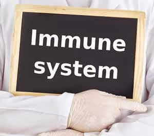 For a Healthy Immune System You May Want to Consider Immunotherapy