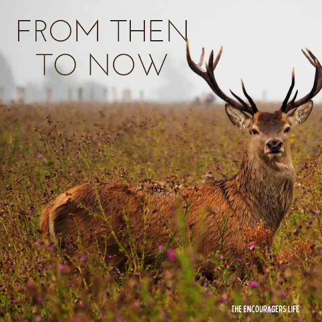 Story on overcoming depression with God's help.  Photo of derr in field.  Text reads, "From Then To Now. The Encouragers Life."