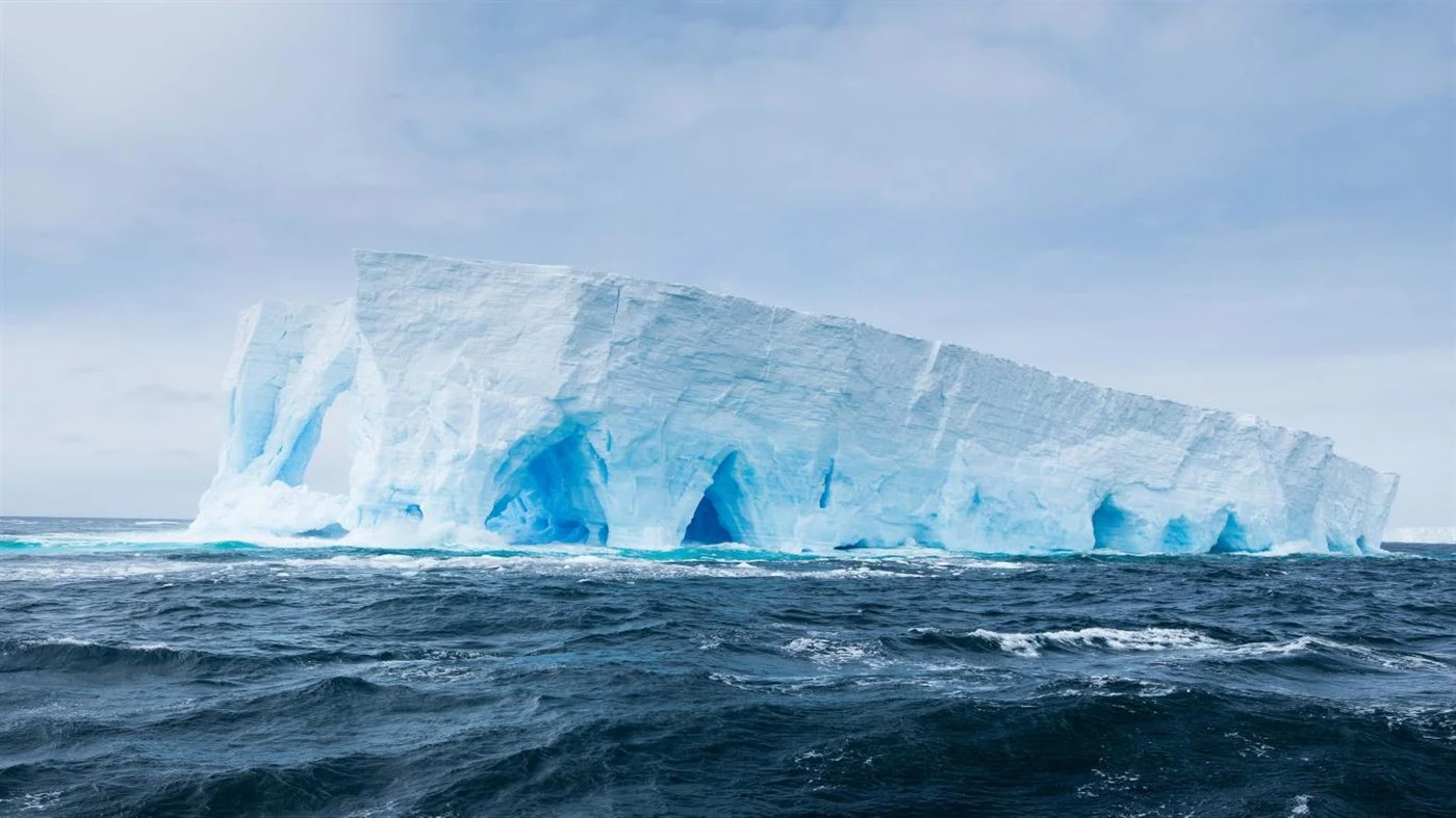 National Geographic Antarctica PREMIUM, Tema per Windows 10