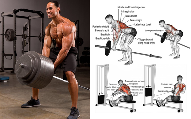 The 10 Best Middle Back Exercises for Strength & Mass