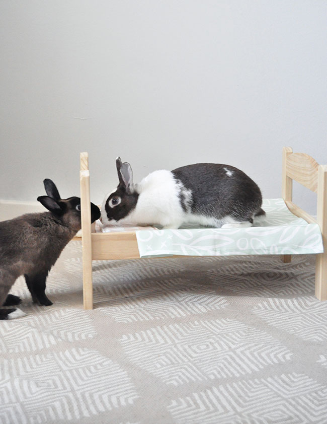 DIY Pet Bedding