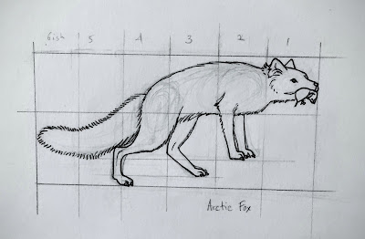 drawing of fox