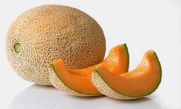 Cara Menanam Melon  Yang Baik Dan Benar Pusat Manual Agro