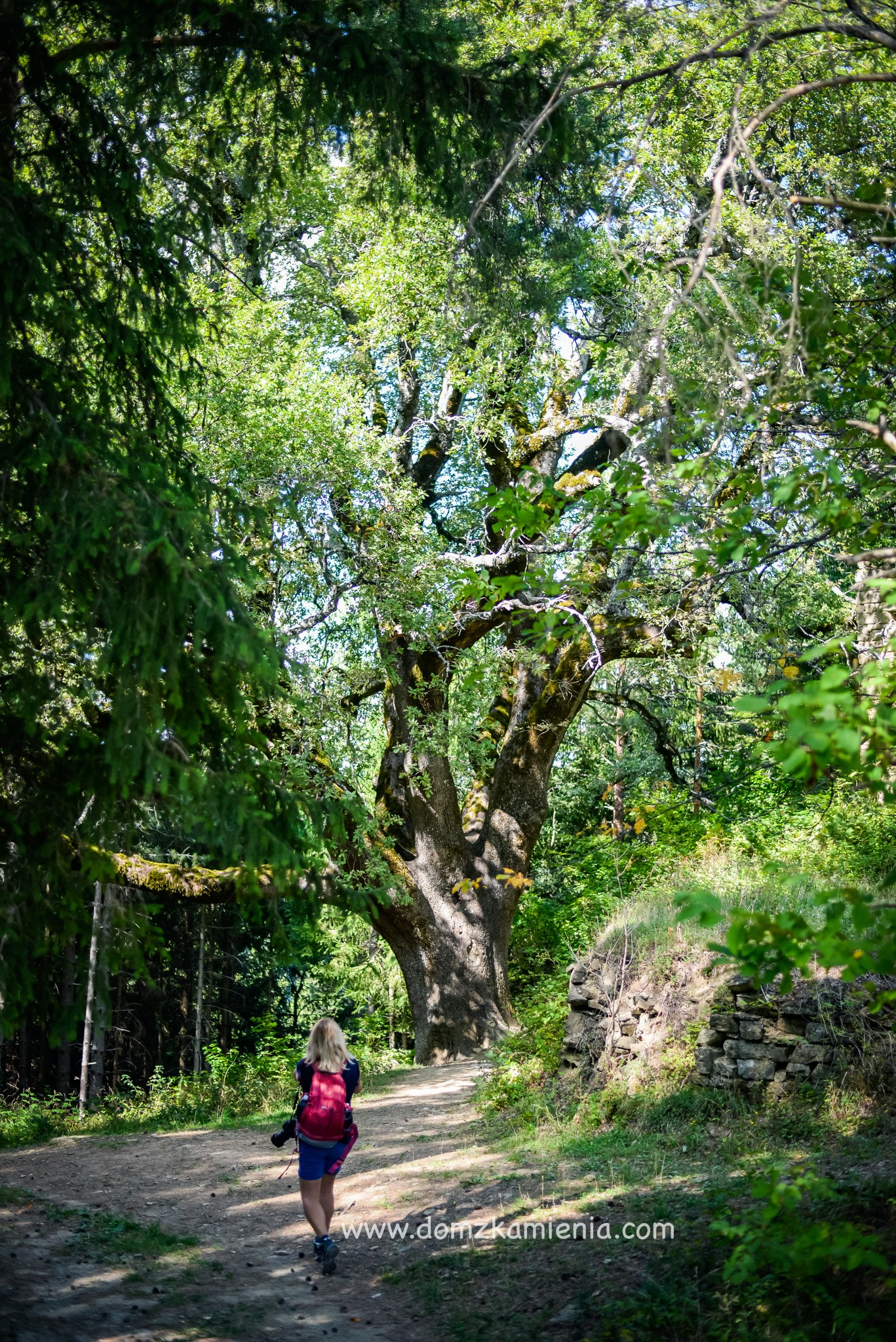 Dom z Kamienia blog, trekking Apeniny, warsztaty kulinarne