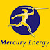 CORONER CONDEMNS MERCURY ENERGY