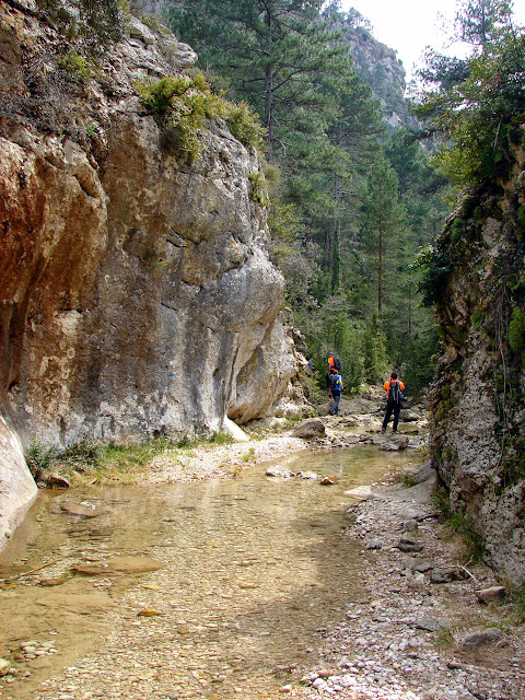 Senderismo - Coll de la Creu - Punta Boixet - Alt de la Coscollosa - Barranc de la Coscollosa