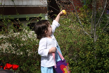 IMG_0895 copy