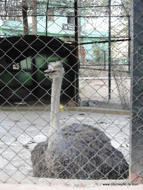 Bannerghatta National Park & Zoo, Bengaluru