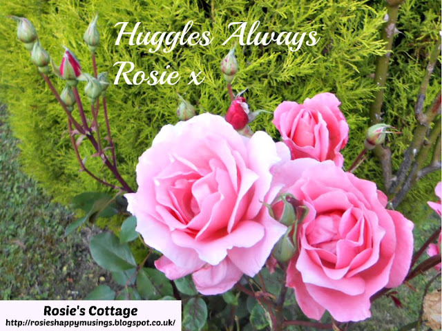 Huggles Always, Rosie x