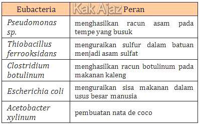 Tabel hubungan antara Eubacteria dan perannya